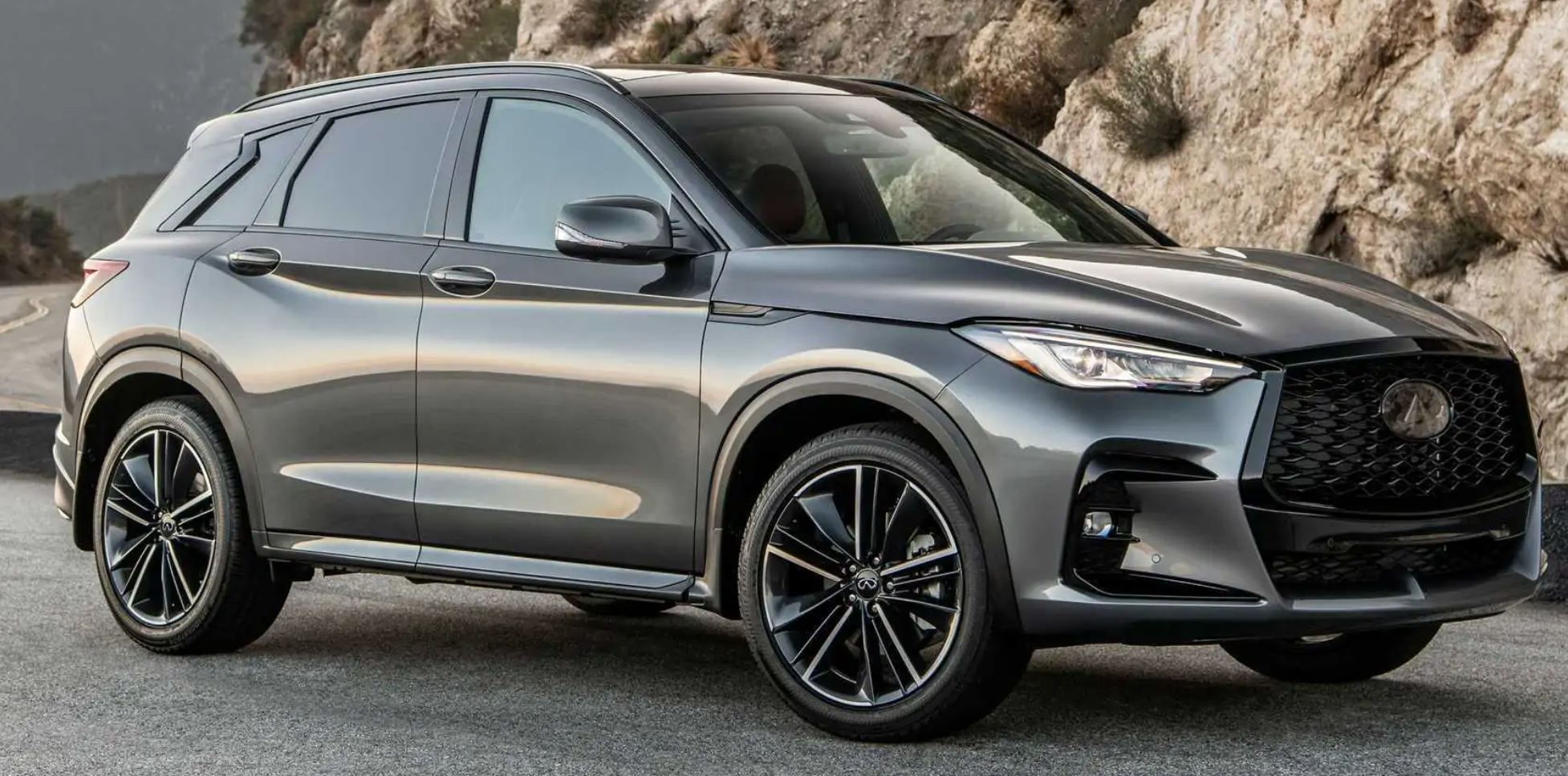 New Infiniti QX50 2024: Reviews, Price, and Specs